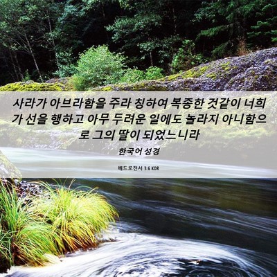 Picture 06 - 베드로전서 3:6 KOR - 사라가 아브라함을 주라 칭하여 - Bible Verse Picture