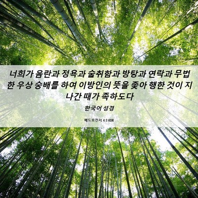 Picture 06 - 베드로전서 4:3 KOR - 너희가 음란과 정욕과 술취함과 - Bible Verse Picture