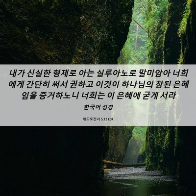Picture 06 - 베드로전서 5:12 KOR - 내가 신실한 형제로 아는 실루아노로 - Bible Verse Picture