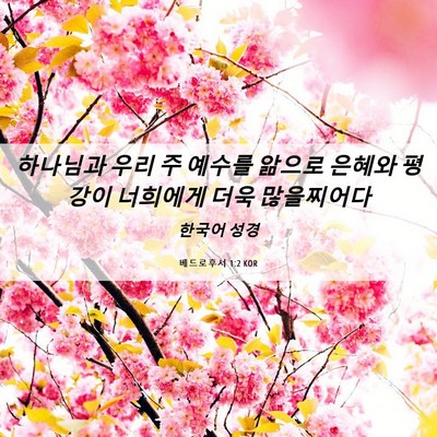 Picture 06 - 베드로후서 1:2 KOR - 하나님과 우리 주 예수를 앎으로 - Bible Verse Picture