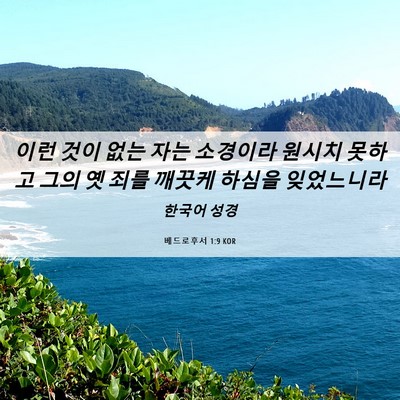 Picture 06 - 베드로후서 1:9 KOR - 이런 것이 없는 자는 소경이라 - Bible Verse Picture