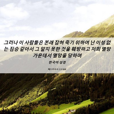 Picture 06 - 베드로후서 2:12 KOR - 그러나 이 사람들은 본래 잡혀 죽기 - Bible Verse Picture