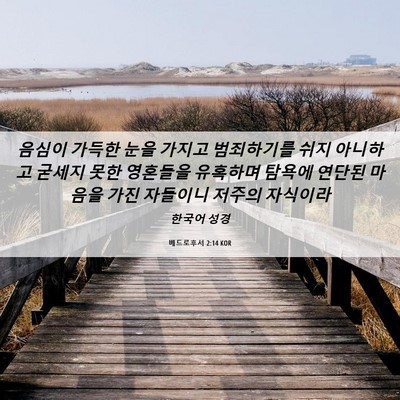 Picture 06 - 베드로후서 2:14 KOR - 음심이 가득한 눈을 가지고 - Bible Verse Picture