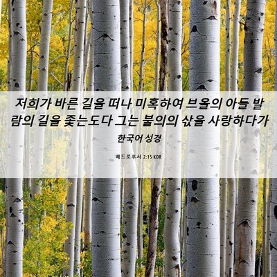 Picture 06 - 베드로후서 2:15 KOR - 저희가 바른 길을 떠나 미혹하여 - Bible Verse Picture