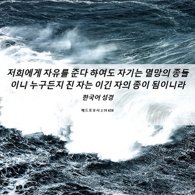 Picture 06 - 베드로후서 2:19 KOR - 저희에게 자유를 준다 하여도 자기는 - Bible Verse Picture
