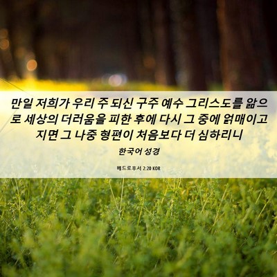 Picture 06 - 베드로후서 2:20 KOR - 만일 저희가 우리 주 되신 구주 예수 - Bible Verse Picture