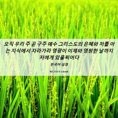 Picture 06 - 베드로후서 3:18 KOR - 오직 우리 주 곧 구주 예수 - Bible Verse Picture