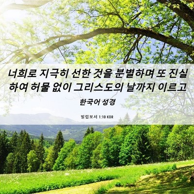 Picture 06 - 빌립보서 1:10 KOR - 너희로 지극히 선한 것을 분별하며 - Bible Verse Picture