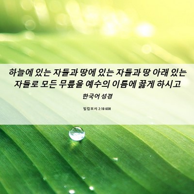 Picture 06 - 빌립보서 2:10 KOR - 하늘에 있는 자들과 땅에 있는 - Bible Verse Picture