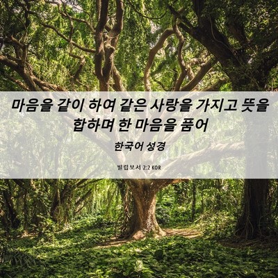 Picture 06 - 빌립보서 2:2 KOR - 마음을 같이 하여 같은 사랑을 - Bible Verse Picture