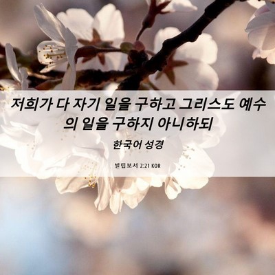 Picture 06 - 빌립보서 2:21 KOR - 저희가 다 자기 일을 구하고 - Bible Verse Picture
