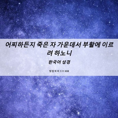 Picture 06 - 빌립보서 3:11 KOR - 어찌하든지 죽은 자 가운데서 부활에 - Bible Verse Picture
