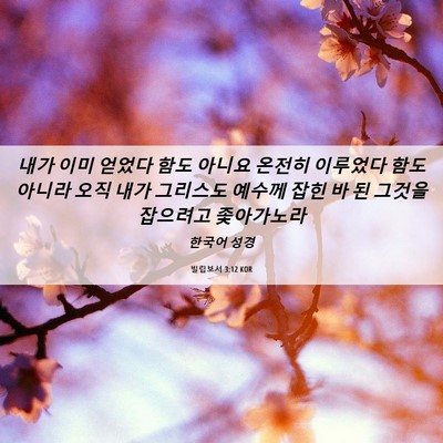 Picture 06 - 빌립보서 3:12 KOR - 내가 이미 얻었다 함도 아니요 - Bible Verse Picture