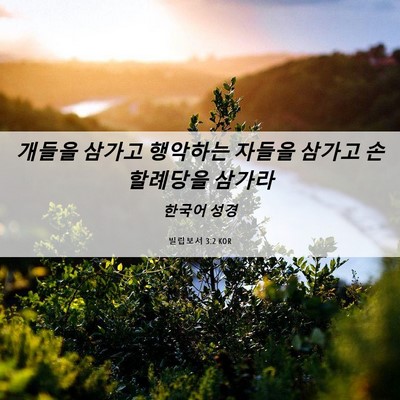 Picture 06 - 빌립보서 3:2 KOR - 개들을 삼가고 행악하는 자들을 - Bible Verse Picture