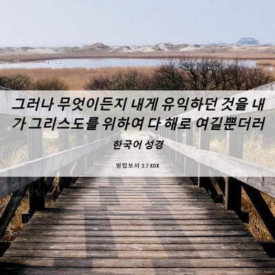 Picture 06 - 빌립보서 3:7 KOR - 그러나 무엇이든지 내게 유익하던 - Bible Verse Picture