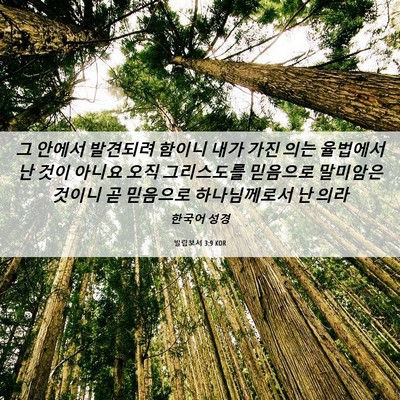 Picture 06 - 빌립보서 3:9 KOR - 그 안에서 발견되려 함이니 내가 - Bible Verse Picture