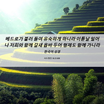 Picture 06 - 사도행전 10:23 KOR - 베드로가 불러 들여 유숙하게 하니라 - Bible Verse Picture