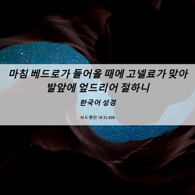 Picture 06 - 사도행전 10:25 KOR - 마침 베드로가 들어올 때에 고넬료가 - Bible Verse Picture