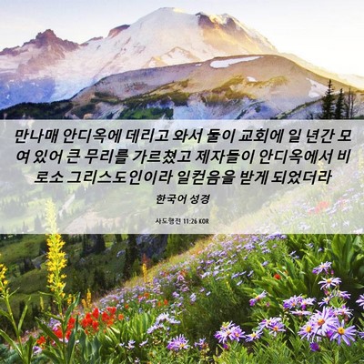 Picture 06 - 사도행전 11:26 KOR - 만나매 안디옥에 데리고 와서 둘이 - Bible Verse Picture
