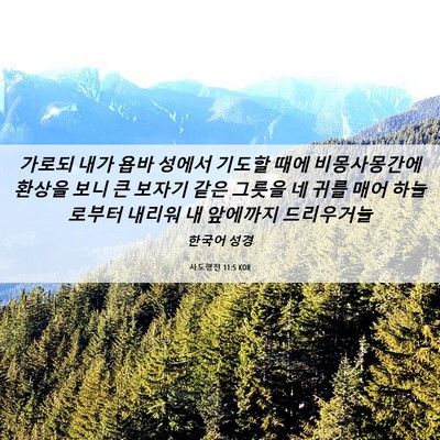 Picture 06 - 사도행전 11:5 KOR - 가로되 내가 욥바 성에서 기도할 - Bible Verse Picture