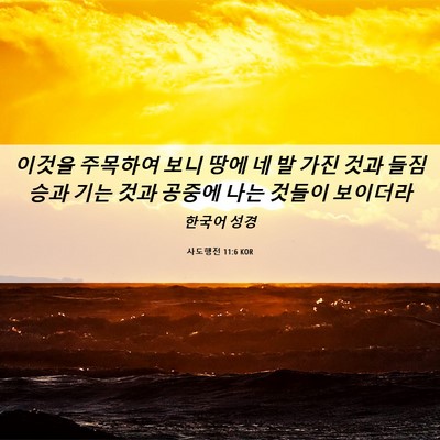Picture 06 - 사도행전 11:6 KOR - 이것을 주목하여 보니 땅에 네 발 - Bible Verse Picture