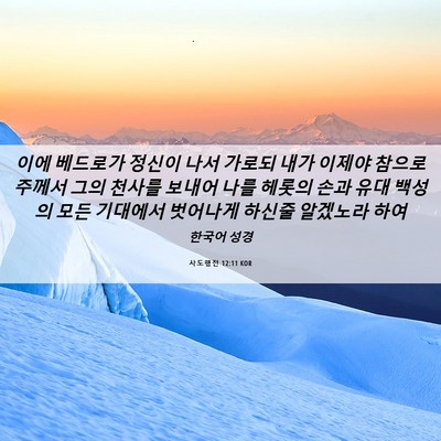 Picture 06 - 사도행전 12:11 KOR - 이에 베드로가 정신이 나서 가로되 - Bible Verse Picture