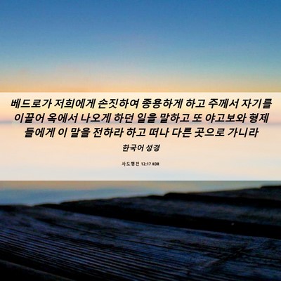 Picture 06 - 사도행전 12:17 KOR - 베드로가 저희에게 손짓하여 - Bible Verse Picture