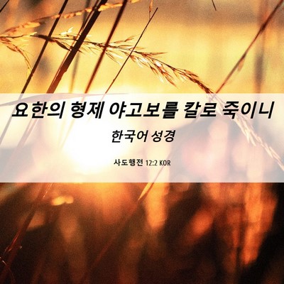 Picture 06 - 사도행전 12:2 KOR - 요한의 형제 야고보를 칼로 - Bible Verse Picture