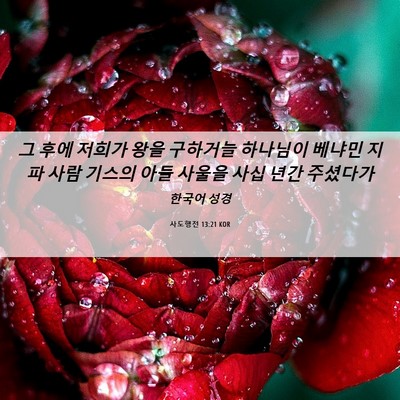 Picture 06 - 사도행전 13:21 KOR - 그 후에 저희가 왕을 구하거늘 - Bible Verse Picture