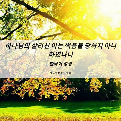 Picture 06 - 사도행전 13:37 KOR - 하나님의 살리신 이는 썩음을 당하지 - Bible Verse Picture