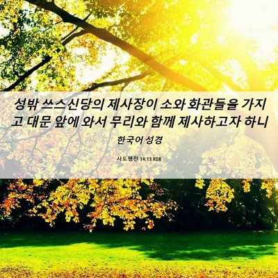 Picture 06 - 사도행전 14:13 KOR - 성밖 쓰스신당의 제사장이 소와 - Bible Verse Picture