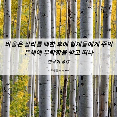 Picture 06 - 사도행전 15:40 KOR - 바울은 실라를 택한 후에 형제들에게 - Bible Verse Picture