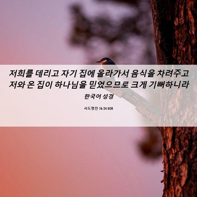 Picture 06 - 사도행전 16:34 KOR - 저희를 데리고 자기 집에 올라가서 - Bible Verse Picture