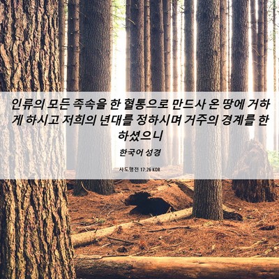 Picture 06 - 사도행전 17:26 KOR - 인류의 모든 족속을 한 혈통으로 - Bible Verse Picture