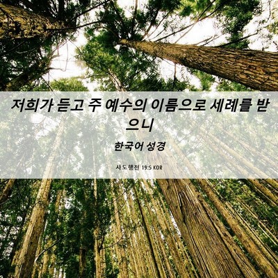 Picture 06 - 사도행전 19:5 KOR - 저희가 듣고 주 예수의 이름으로 - Bible Verse Picture