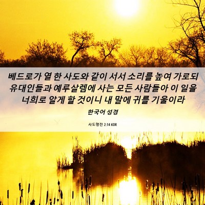 Picture 06 - 사도행전 2:14 KOR - 베드로가 열 한 사도와 같이 서서 - Bible Verse Picture