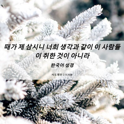 Picture 06 - 사도행전 2:15 KOR - 때가 제 삼시니 너희 생각과 같이 이 - Bible Verse Picture