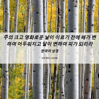 Picture 06 - 사도행전 2:20 KOR - 주의 크고 영화로운 날이 이르기 - Bible Verse Picture