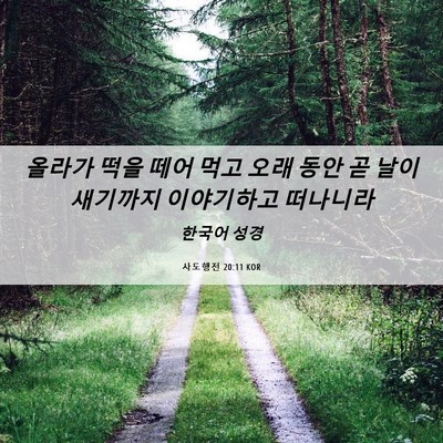 Picture 06 - 사도행전 20:11 KOR - 올라가 떡을 떼어 먹고 오래 동안 곧 - Bible Verse Picture