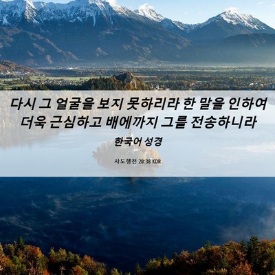 Picture 06 - 사도행전 20:38 KOR - 다시 그 얼굴을 보지 못하리라 한 - Bible Verse Picture