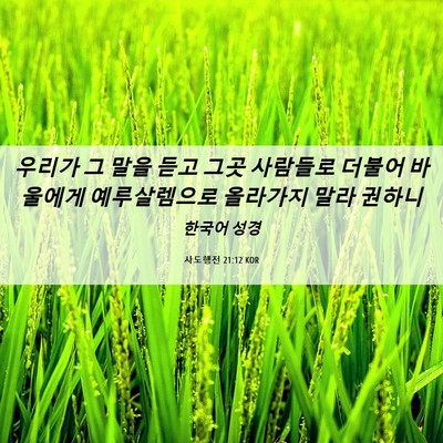 Picture 06 - 사도행전 21:12 KOR - 우리가 그 말을 듣고 그곳 사람들로 - Bible Verse Picture