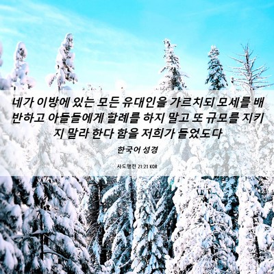 Picture 06 - 사도행전 21:21 KOR - 네가 이방에 있는 모든 유대인을 - Bible Verse Picture