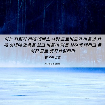 Picture 06 - 사도행전 21:29 KOR - 이는 저희가 전에 에베소 사람 - Bible Verse Picture