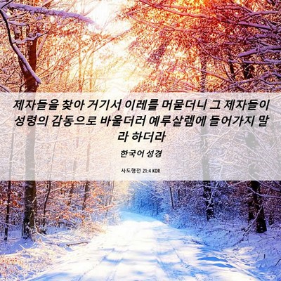 Picture 06 - 사도행전 21:4 KOR - 제자들을 찾아 거기서 이레를 - Bible Verse Picture