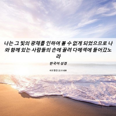 Picture 06 - 사도행전 22:11 KOR - 나는 그 빛의 광채를 인하여 볼 수 - Bible Verse Picture