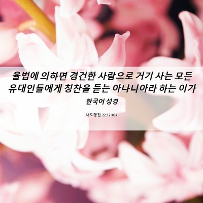 Picture 06 - 사도행전 22:12 KOR - 율법에 의하면 경건한 사람으로 거기 - Bible Verse Picture
