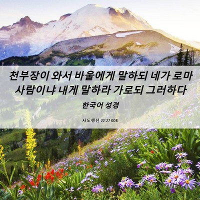 Picture 06 - 사도행전 22:27 KOR - 천부장이 와서 바울에게 말하되 네가 - Bible Verse Picture