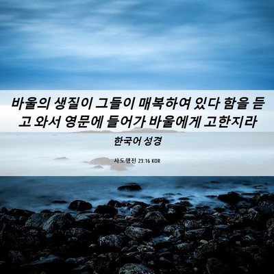 Picture 06 - 사도행전 23:16 KOR - 바울의 생질이 그들이 매복하여 있다 - Bible Verse Picture