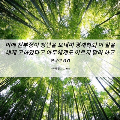 Picture 06 - 사도행전 23:22 KOR - 이에 천부장이 청년을 보내며 - Bible Verse Picture