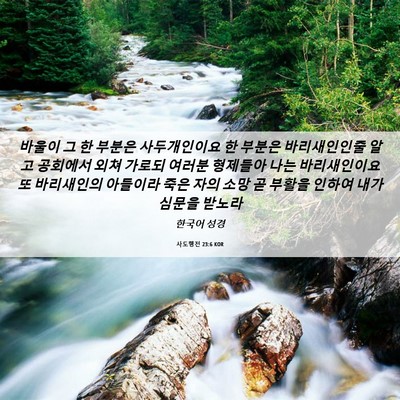Picture 06 - 사도행전 23:6 KOR - 바울이 그 한 부분은 사두개인이요 - Bible Verse Picture